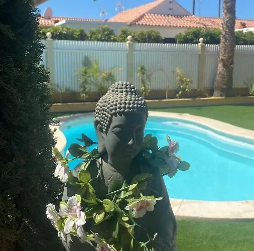 World מספאלומס