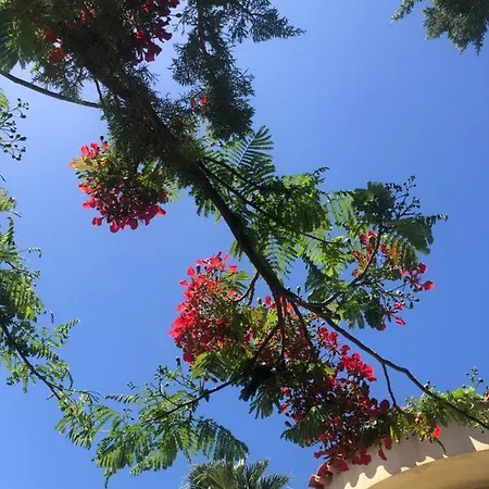 World Maspalomas
